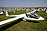 Glider