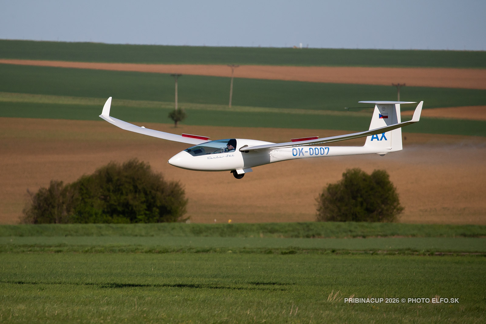 014_1DX_1914.jpg