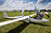 Glider